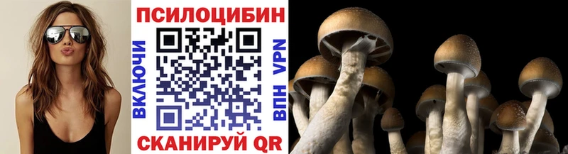 Псилоцибиновые грибы Psilocybe  Межгорье 